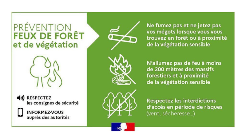 feux de forêt